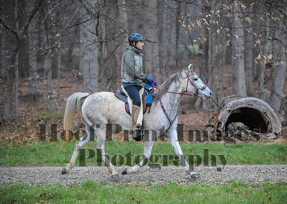 Foxcatcher(4-9-16)0463