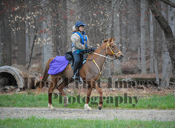Foxcatcher(4-9-16)0179