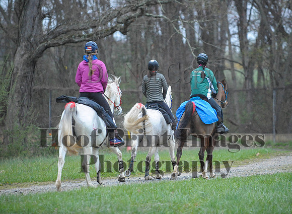 Foxcatcher(4-9-16)0136