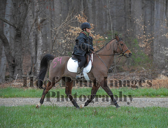 Foxcatcher(4-9-16)0343