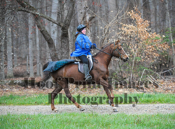 Foxcatcher(4-9-16)0255