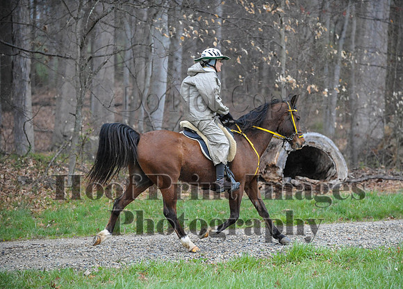 Foxcatcher(4-9-16)0402