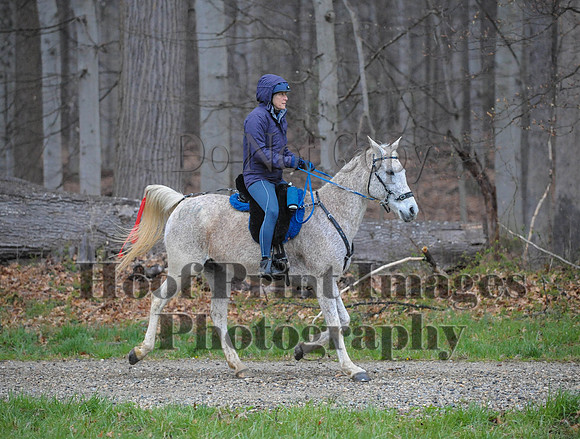 Foxcatcher(4-9-16)0458