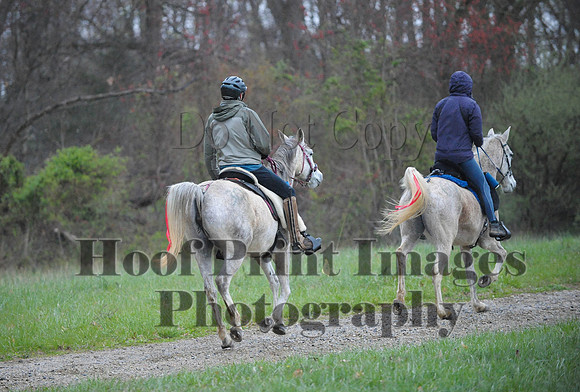 Foxcatcher(4-9-16)0473