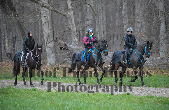 Foxcatcher(4-9-16)0364