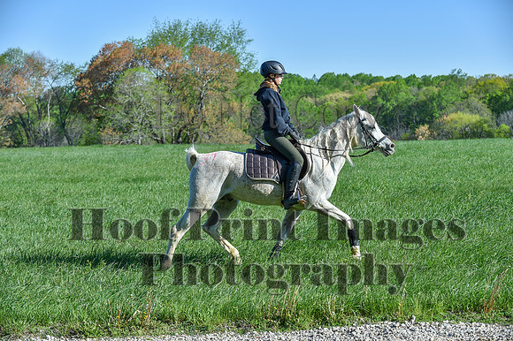 ChesapeakeSpring(4-27-25)0338