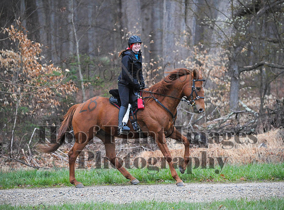 Foxcatcher(4-9-16)0042