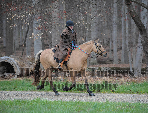 Foxcatcher(4-9-16)0065