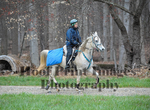 Foxcatcher(4-9-16)0183