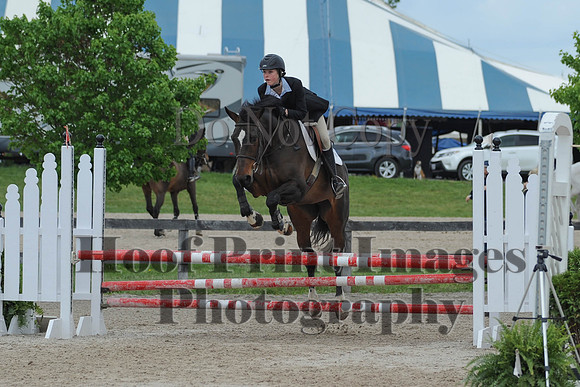BRSa(5-17-14)0.8mJCl0033