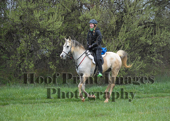 Foxcatcher(4-9-16)0526