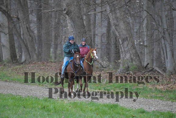 Foxcatcher(4-9-16)0404