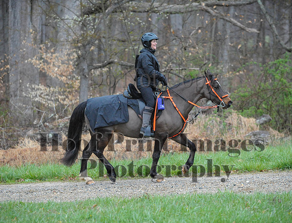 Foxcatcher(4-9-16)0282
