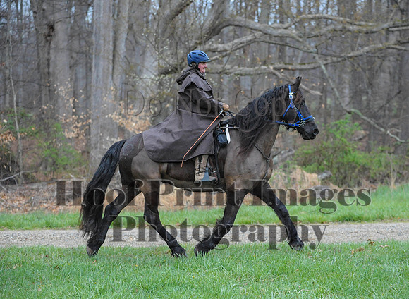 Foxcatcher(4-9-16)0326