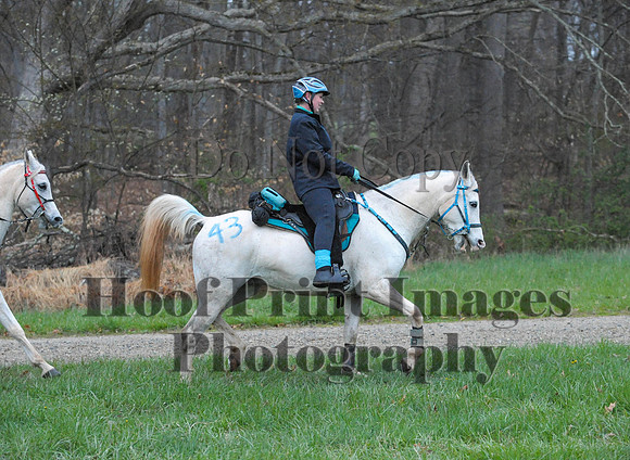Foxcatcher(4-9-16)0104