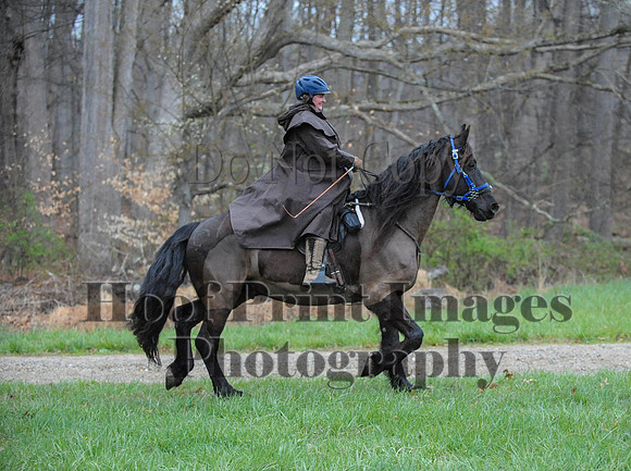 Foxcatcher(4-9-16)0327