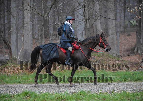 Foxcatcher(4-9-16)0440