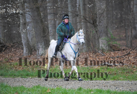 Foxcatcher(4-9-16)0479