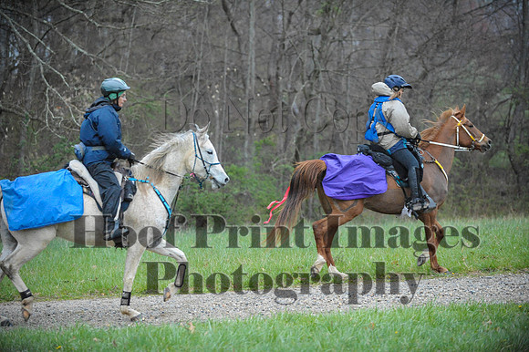 Foxcatcher(4-9-16)0192