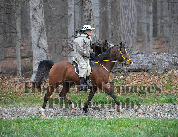 Foxcatcher(4-9-16)0398
