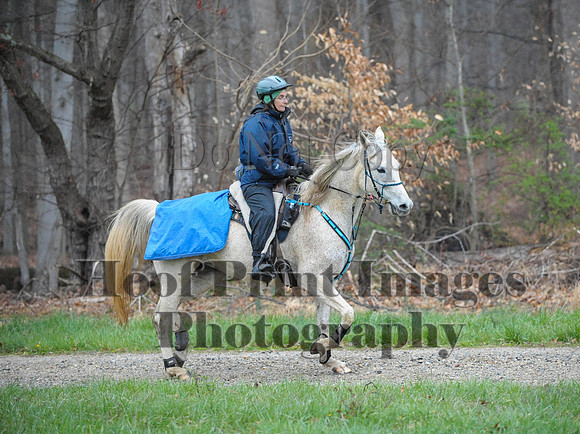 Foxcatcher(4-9-16)0186