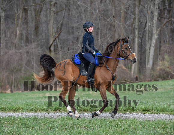 ChesapeakeSpring(4-10-22)0119