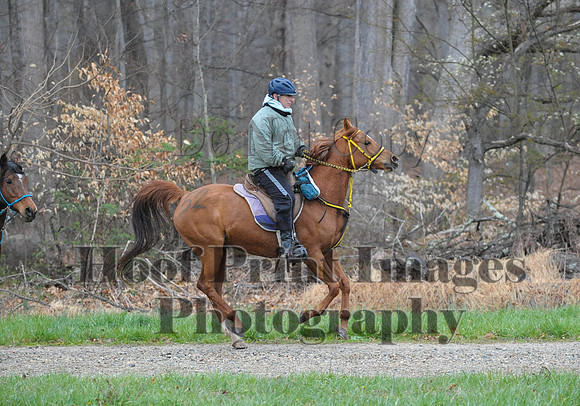 Foxcatcher(4-9-16)0217