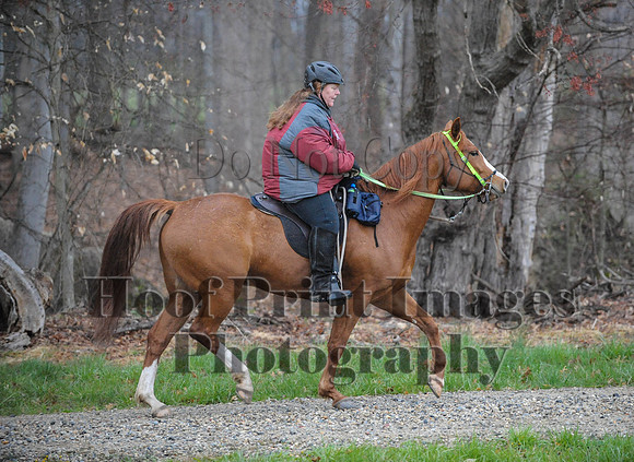 Foxcatcher(4-9-16)0425