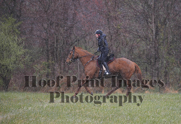 Foxcatcher(4-9-16)0923
