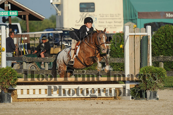 BRSa(5-17-14)SMChP0097