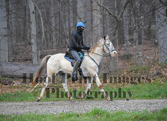 Foxcatcher(4-9-16)0442