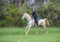 Foxcatcher(4-9-16)0529