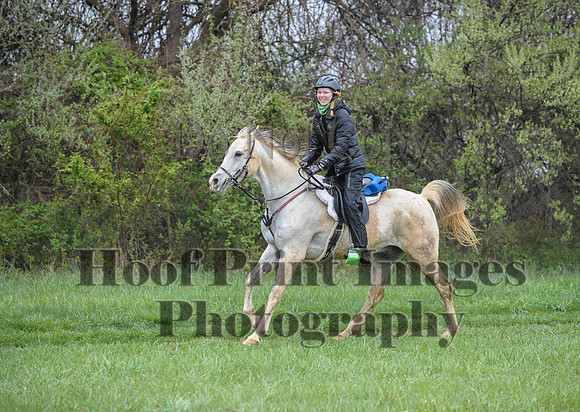 Foxcatcher(4-9-16)0529
