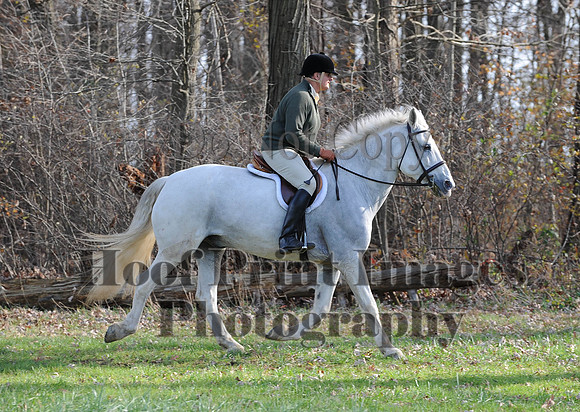 AndrewsBr(11-9-14)0637