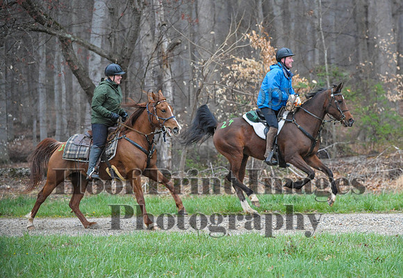 Foxcatcher(4-9-16)0303