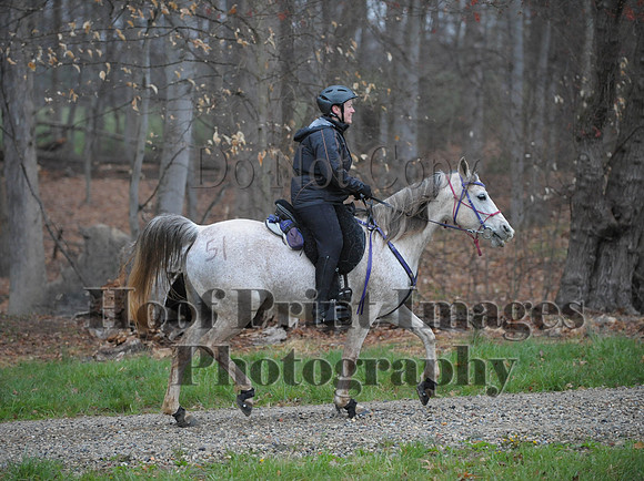 Foxcatcher(4-9-16)0494