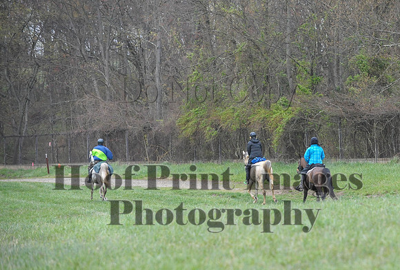 Foxcatcher(4-9-16)0543