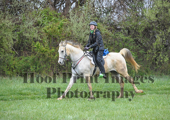 Foxcatcher(4-9-16)0530