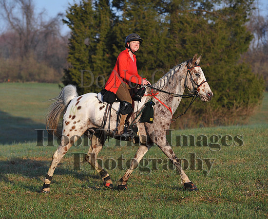 Foxcatcher(4-12-14)0429