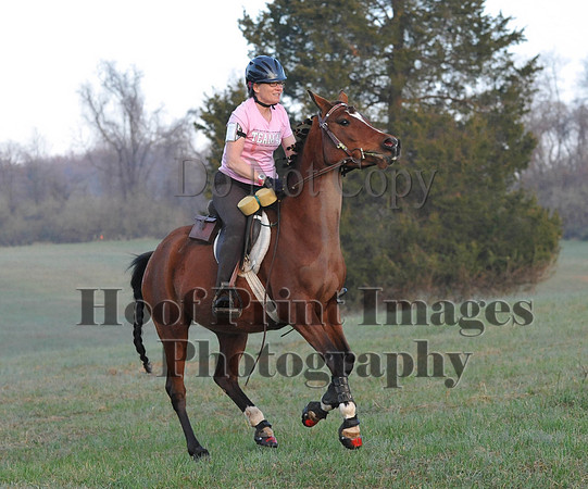 Foxcatcher(4-12-14)0153