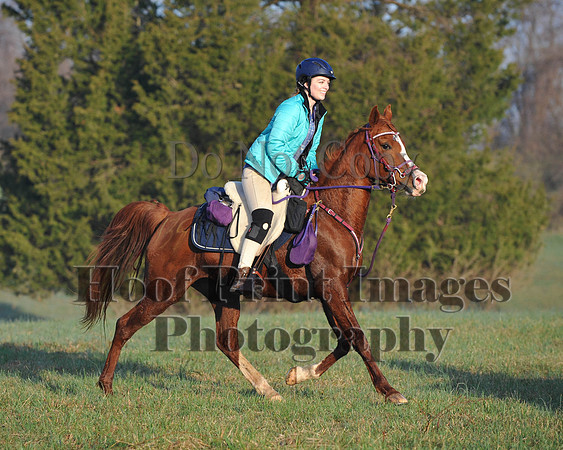 Foxcatcher(4-12-14)0506