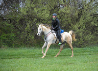 Foxcatcher(4-9-16)0527