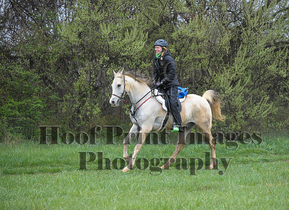 Foxcatcher(4-9-16)0527