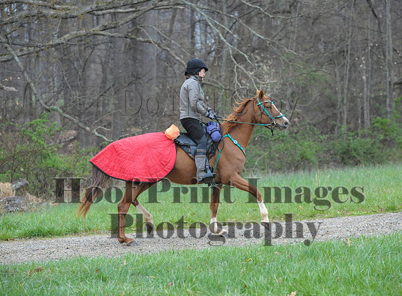 Foxcatcher(4-9-16)0242