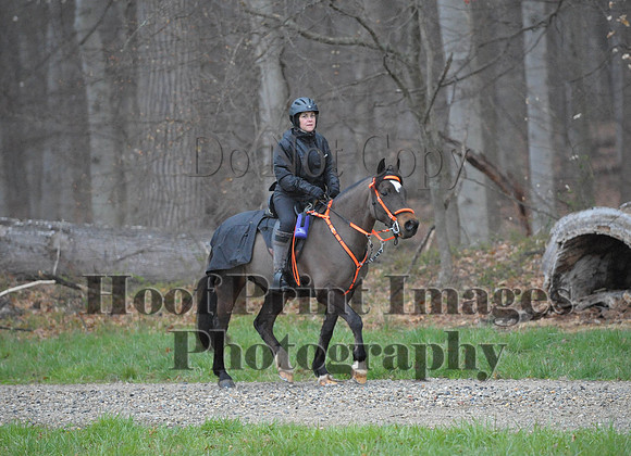Foxcatcher(4-9-16)0274