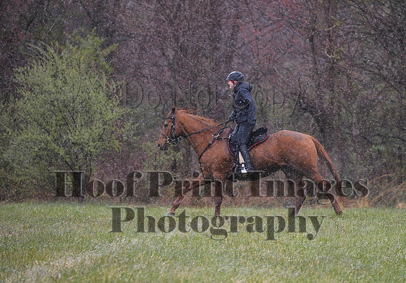 Foxcatcher(4-9-16)0924