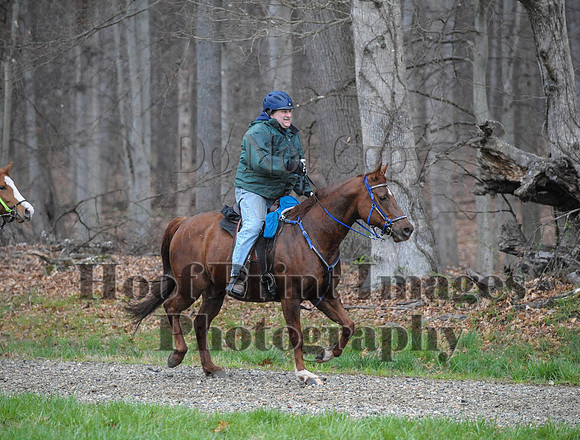 Foxcatcher(4-9-16)0414