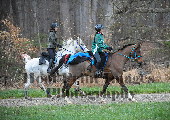 Foxcatcher(4-9-16)0128