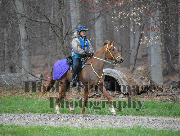 Foxcatcher(4-9-16)0176