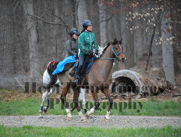 Foxcatcher(4-9-16)0123